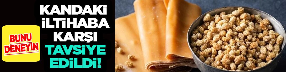 Kandaki iltihaba karşı beyaz dut kurusu kürü!