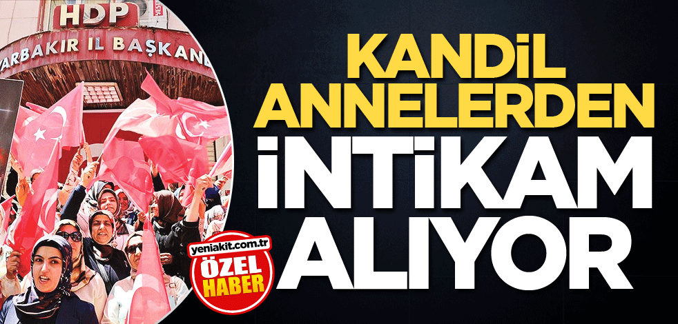 Kandil annelerden intikam alıyor