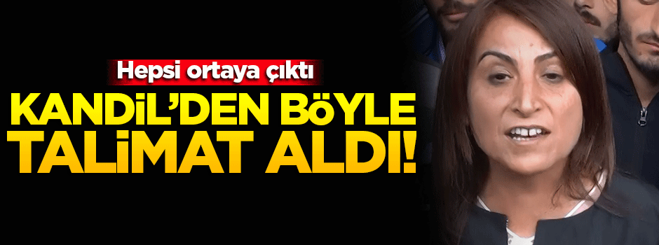Kandil'den böyle talimat aldı! Hepsi ortaya çıktı