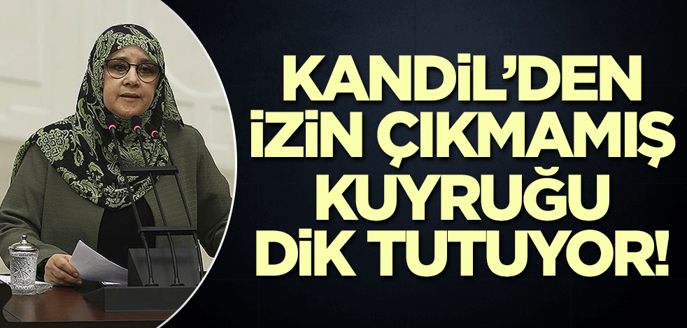 Kandil'den izin çıkmamış, kuyruğu dik tutuyor! HDP'li Hüda Kaya veda etti
