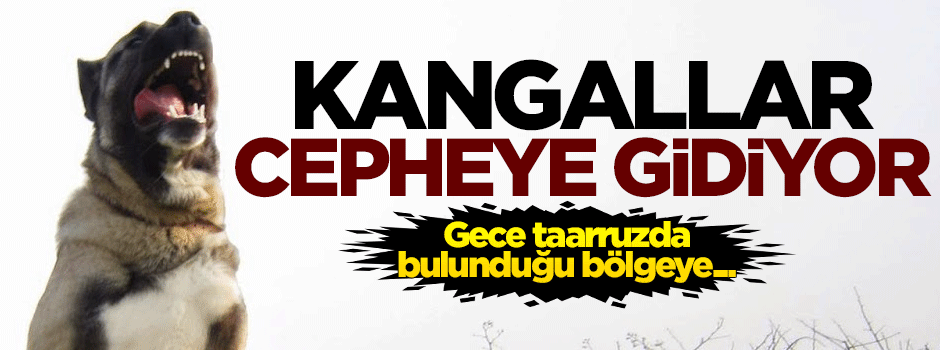 Kangallar cepheye gidiyor! Gece taarruzda...