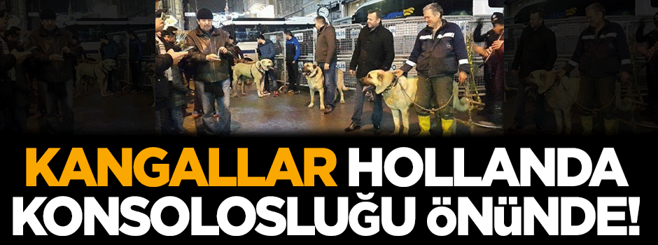 Kangallar Hollanda Konsolosluğu önünde!