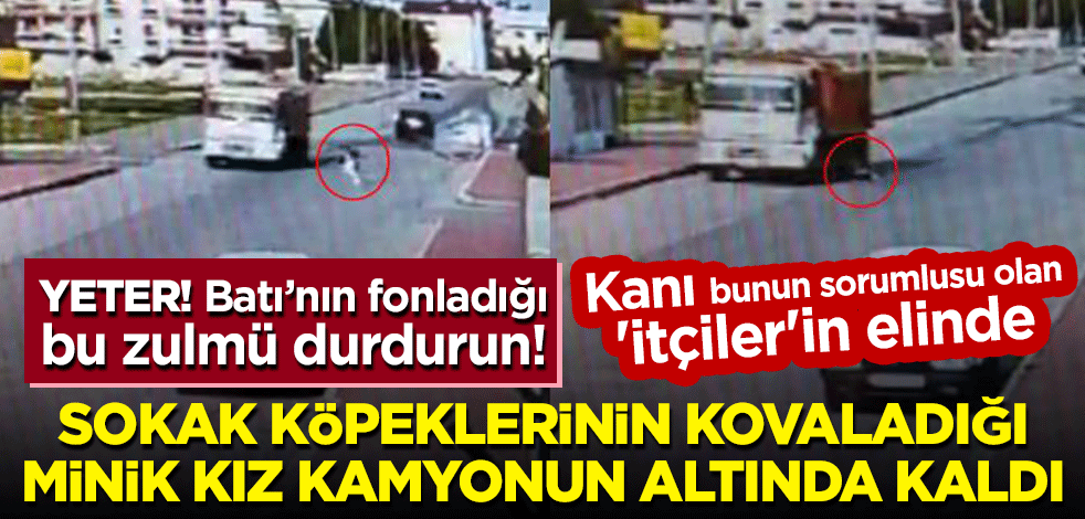 Kanı 'itçiler'in elinde! Sokak köpeklerinin kovaladığı minik kız kamyonun altında kaldı
