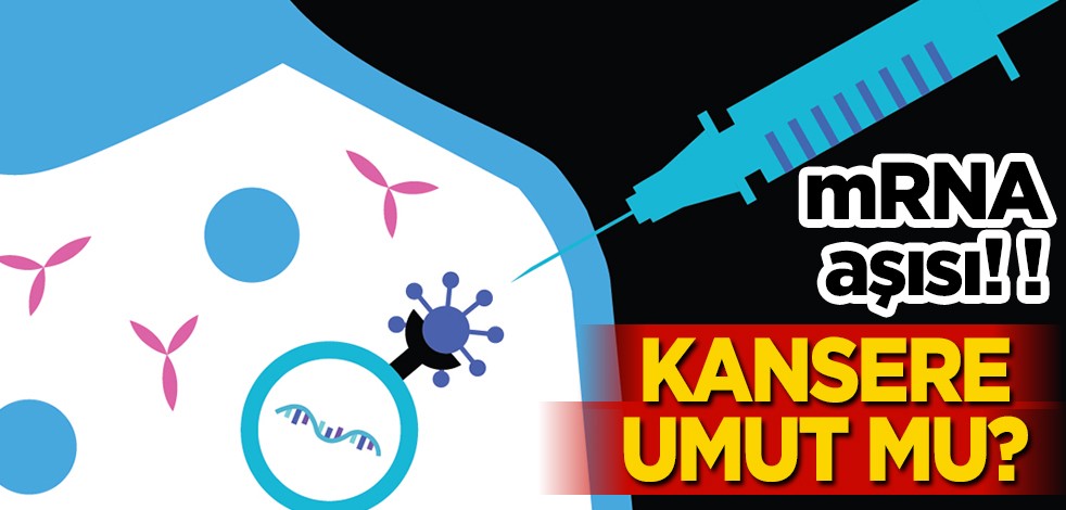 Kansere karşı umut: Koronavirüs pandemisinde mRNA aşısı! Almanya'da resmen 230 bin insan hayatını kaybetti