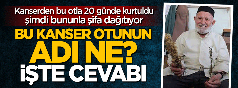 Kanseri 20 günde iyileştiren otun adı ne? İşte cevabı