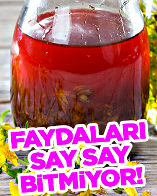 Kantaron: sarı, kırmızı kantaron yağı faydaları nelerdir? Sonucu görenler inanamadı: Bunu ekleyince bakın neler olacak