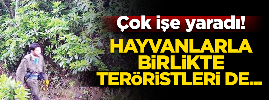 Kapanlar teröristlerin korkulu rüyası