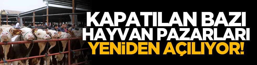 Kapatılan bazı hayvan pazarları yeniden açılıyor!
