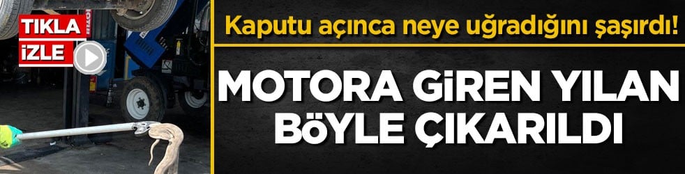 Kaputu açınca neye uğradığını şaşırdı! Motora giren yılan böyle çıkarıldı