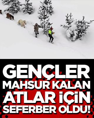 Gençler mahsur kalan atlar için seferber oldu!