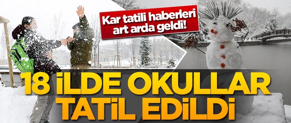 Kar tatili haberleri art arda geldi! 18 ilde okullar tatil edildi