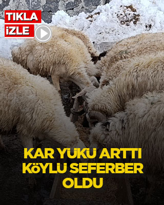 Kar yükü arttı, köylü seferber oldu