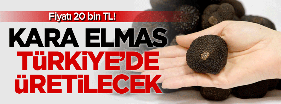 'Kara elmas' Türkiye'de üretilecek