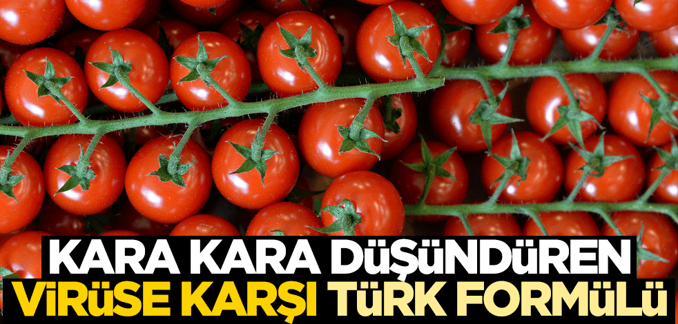 Kara kara düşündüren virüse karşı Türk formülü!