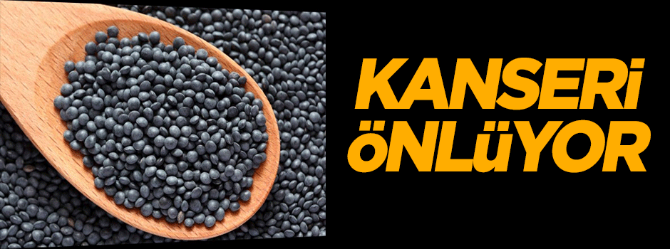 'Kara mercimek' kanseri önlüyor
