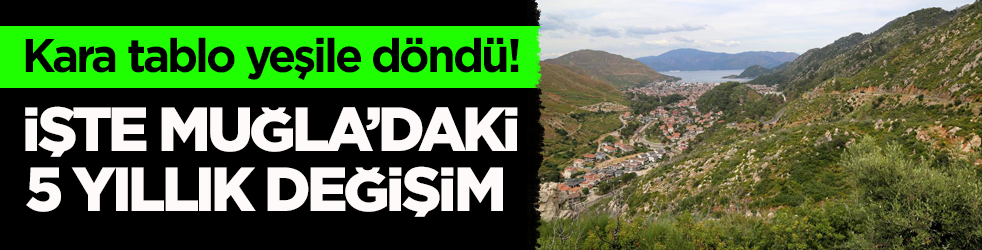 Kara tablo yeşile döndü! İşte Muğla’daki 5 yıllık değişim 