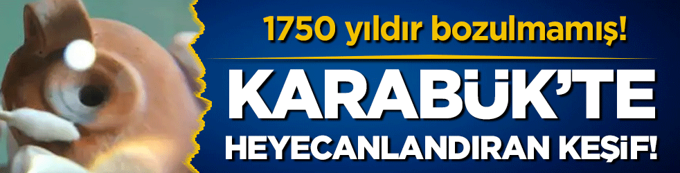 Karabük'te heyecanlandıran keşif! 1750 yıldır bozulmamış!