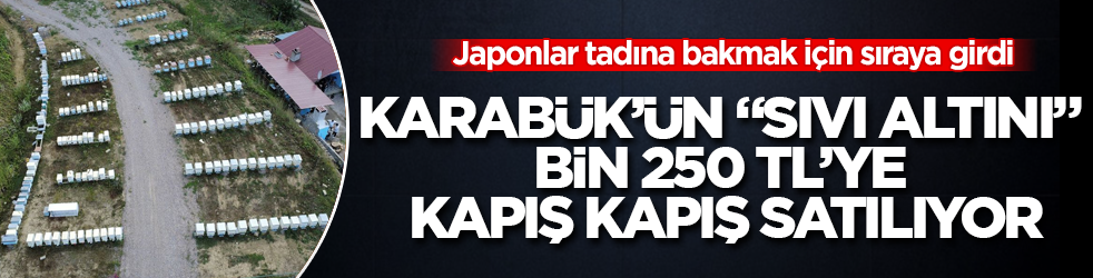 Karabük’ün "sıvı altını" bin 250 TL’ye kapış kapış satılıyor: Japonlar tadına bakmak için sıraya girdi