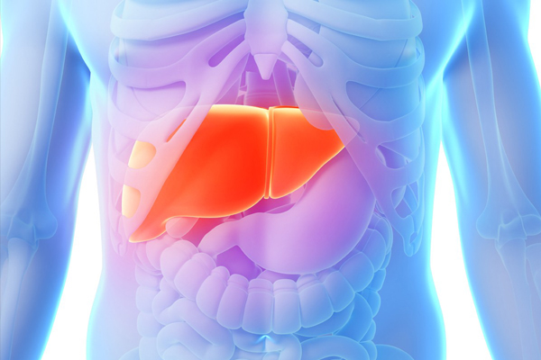 Karaciğer büyümesi ve yağlanması belirtileri