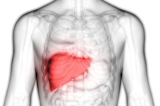 Karaciğer yağlanması ne zaman geçer?