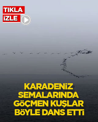 Karadeniz semalarında göçmen kuşlar böyle dans etti