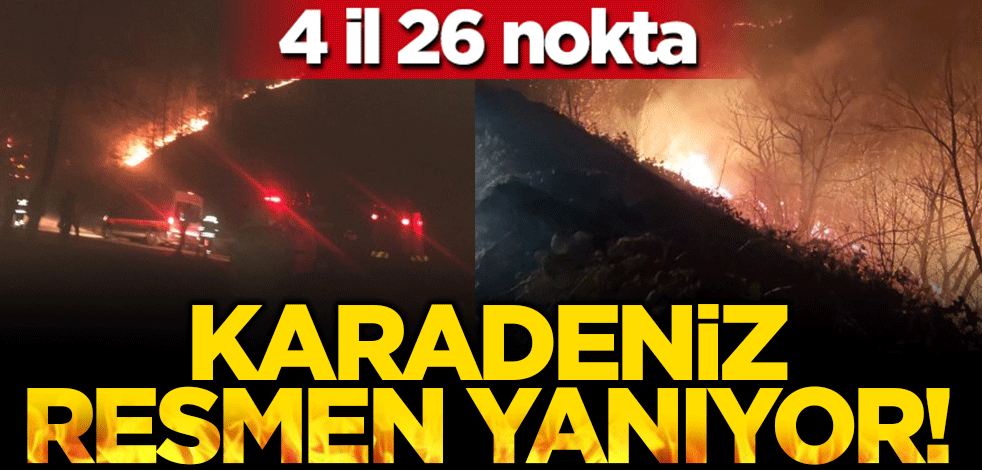 Karadeniz'de 4 ilde 26 noktada yangın çıktı!