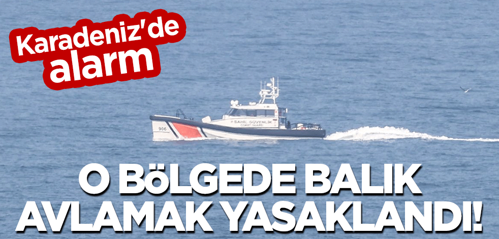 Karadeniz'de alarm: O bölgede balık avlamak yasaklandı!