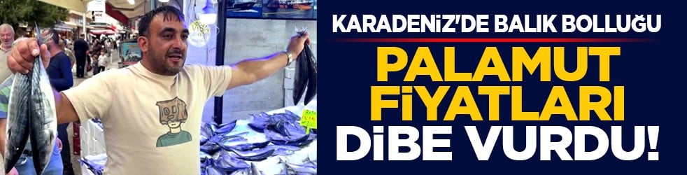 Karadeniz'de balık bolluğu: Palamut fiyatları dibe vurdu!