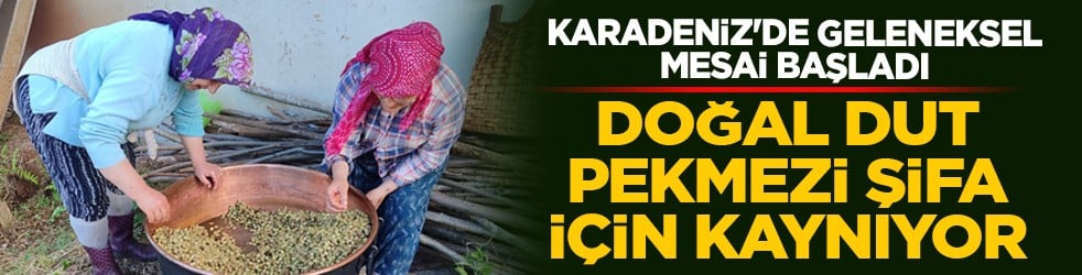 Karadeniz'de geleneksel mesai başladı: Doğal dut pekmezi şifa için kaynıyor