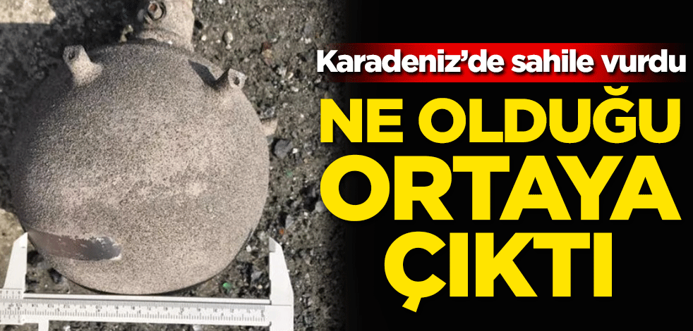 Karadeniz'de sahile vurdu! Ne olduğu ortaya çıktı