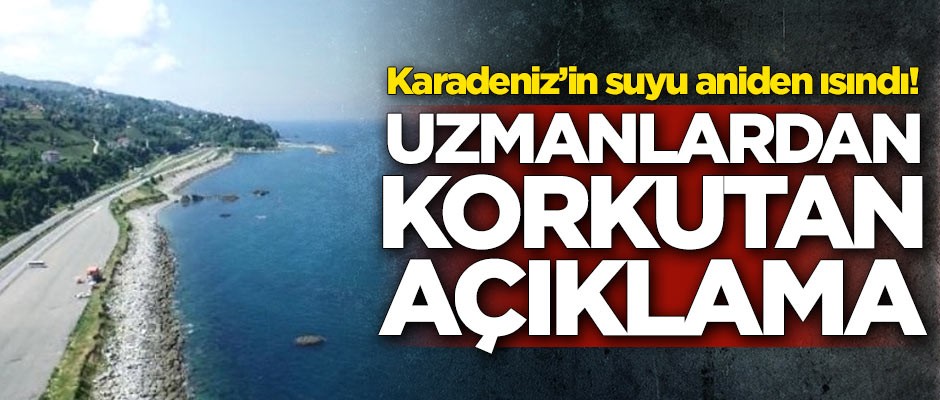 Karadeniz'de suyun sıcaklığı yükseldi! Korkutan açıklama uzmanlardan geldi