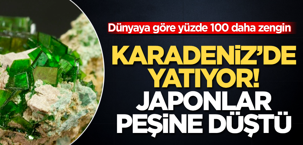 Karadeniz’de yatıyor! Japonlar peşinde! Dünyaya göre yüzde 100 daha zengin