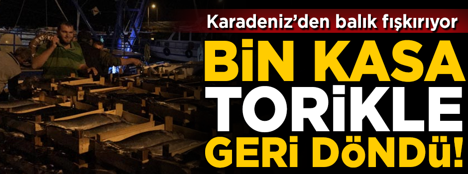 Karadeniz'den balık fışkırıyor! Bin kasa Torikle geri döndü
