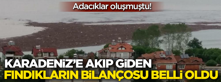Karadeniz'e akıp giden fındıkların bilançosu belli oldu