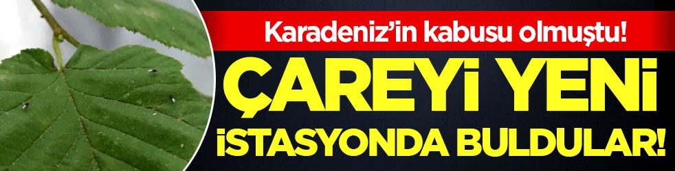 Karadeniz'in başına bela olmuştu: Çareyi yeni istasyonda buldular!