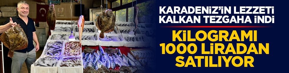 Karadeniz’in lezzeti kalkan tezgaha indi: Kilogramı 1000 liradan satılıyor