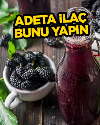 Karadut şerbeti... Bu adeta ilaç, yapması basit!