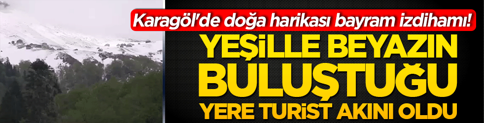Karagöl'de doğa harikası bayram izdihamı! Yeşille beyazın buluştuğu yere turist akını oldu