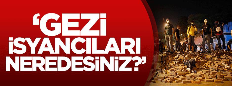Karahasanoğlu: Gezi isyancıları neredesiniz?