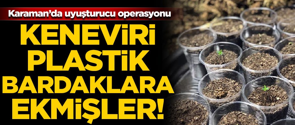 Karaman'da şoke eden olay! Keneviri plastik bardaklara ekmişler