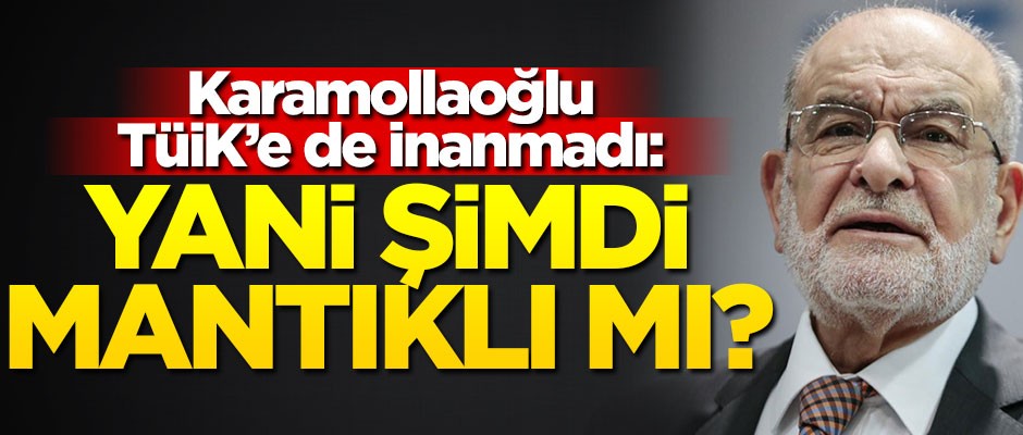 Karamollaoğlu TÜİK’e de inanmadı: Yani şimdi mantıklı mı?