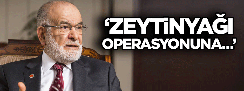 Karamollaoğlu enteresan 'Zeytin Dalı' yorumu