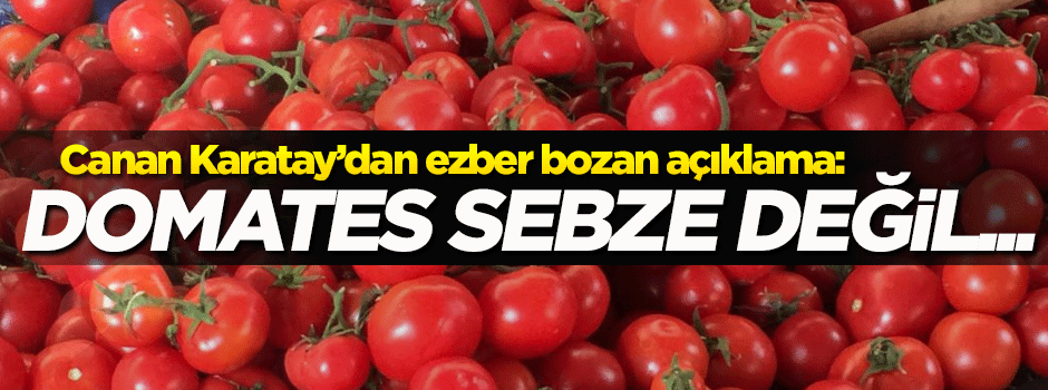 Karatay'dan ezber bozacak 'domates' açıklaması