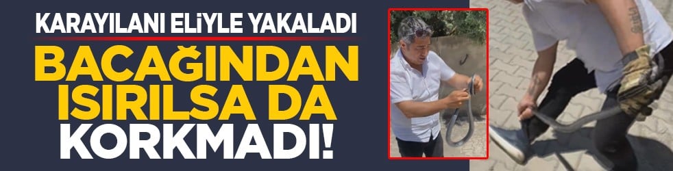 Karayılanı eliyle yakaladı: Bacağından ısırılsa da korkmadı!