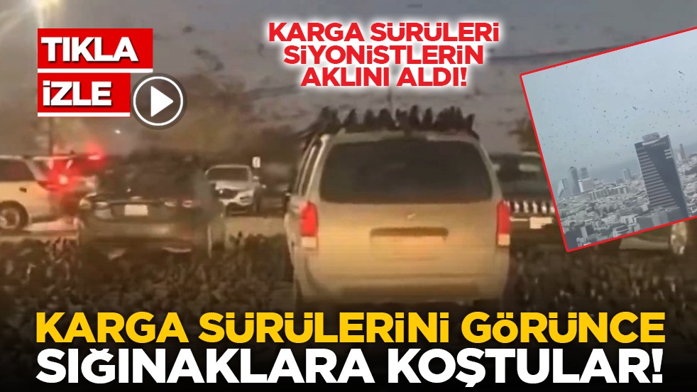 Karga sürüleri siyonistlerin aklını aldı! Karga sürülerini görünce sığınaklara koştular!