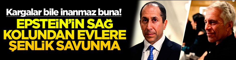 Kargalar bile inanmaz buna! Epstein'in sağ kolundan evlere şenlik savunma