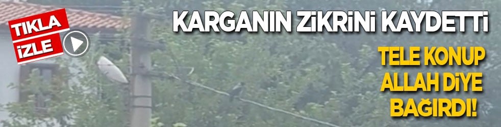 Karganın zikrini kaydetti! Tele konup ‘Allah’ diye bağırdı
