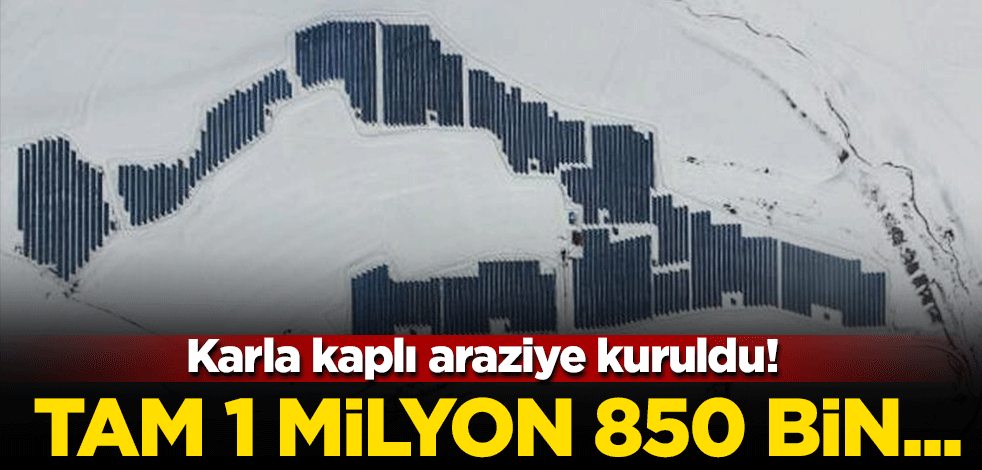 Karla kaplı araziye kuruldu! Tam 1 milyon 850 bin...