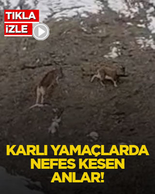 Karlı yamaçlarda nefes kesen anlar!
