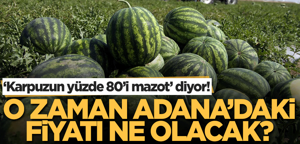 Karpuzun İstanbul’daki fiyatını gerekçelendirdiğinde Adana’daki fiyatı ne olacak?